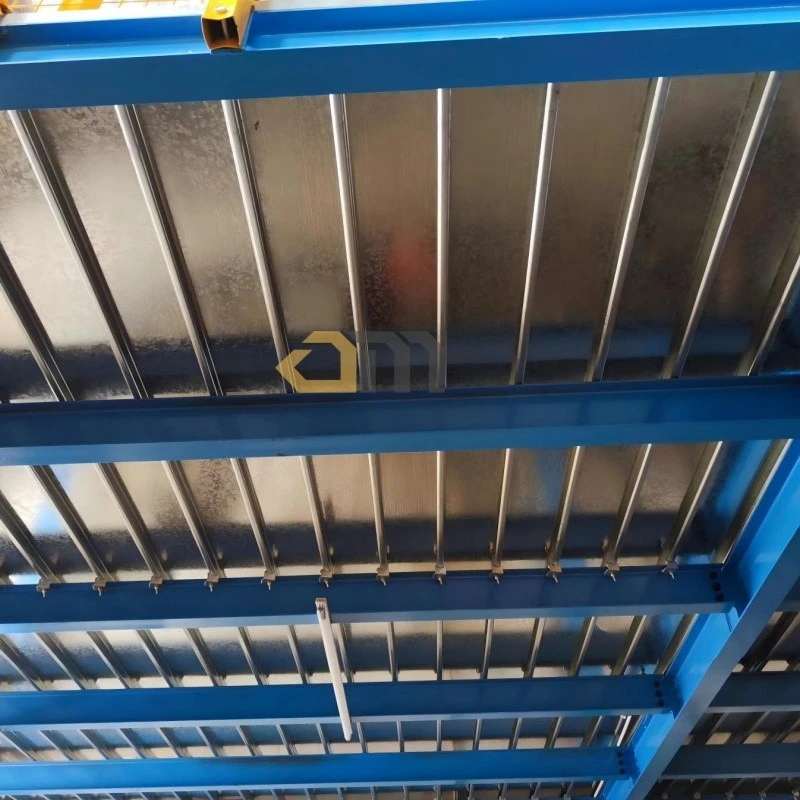 product-800-800